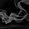 swoosh_bw